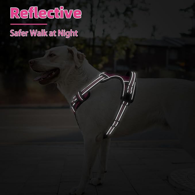 PUPTECK No Pull Dog Harness Small Sized, Adjustable Reflective Dog Harness with Handle Easy Control, Comfortable Soft Padded Pet Vest Harness for Small Dogs, Fuschia S