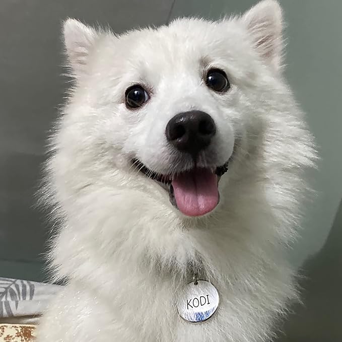 Premium 316 Surgical Grade Stainless Steel Personalized Dog & Cat ID Tags - Fun Shapes for Sporty Outdoor Pets - Custom Engraved Name & Info for Collar Accessories & Pet Necklaces Lighining