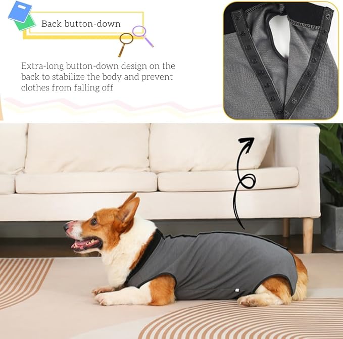 Dog Surgery Recovery Suit,Abdominal Surgical Suit for Dogs,Recovery Suit for Dogs,Prevent Licking Surgical Wound Dog Cone Alternative Blue XL