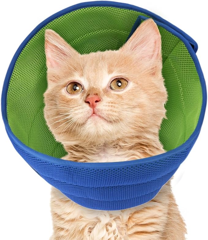 Soft Dog Cone Collar Alternative Small Dogs/Cat, E Cones for Puppy/Kitten to Stop Licking After Surgery, Neuter Recovery Ecollars of Shame Alternatives, Comfortable Paws Comfy Elizabethan Collars