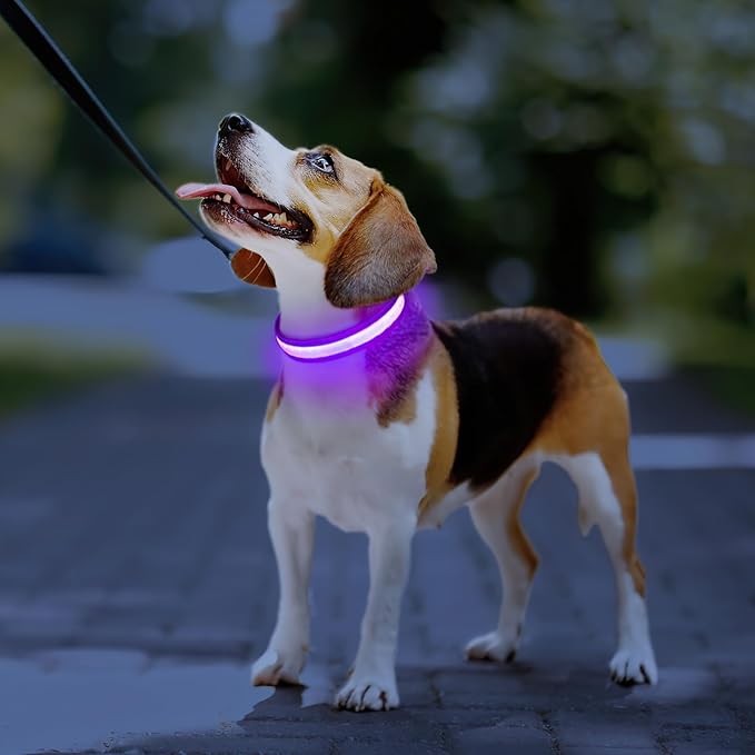 PcEoTllar Light up Dog Collar for Night Walking - LED Dog Collar Light Rechargeable Color Changing, Glow in The Dark Dog Collars Waterproof Glowing Dog Collars for Large Small Medium Dogs, Purple S