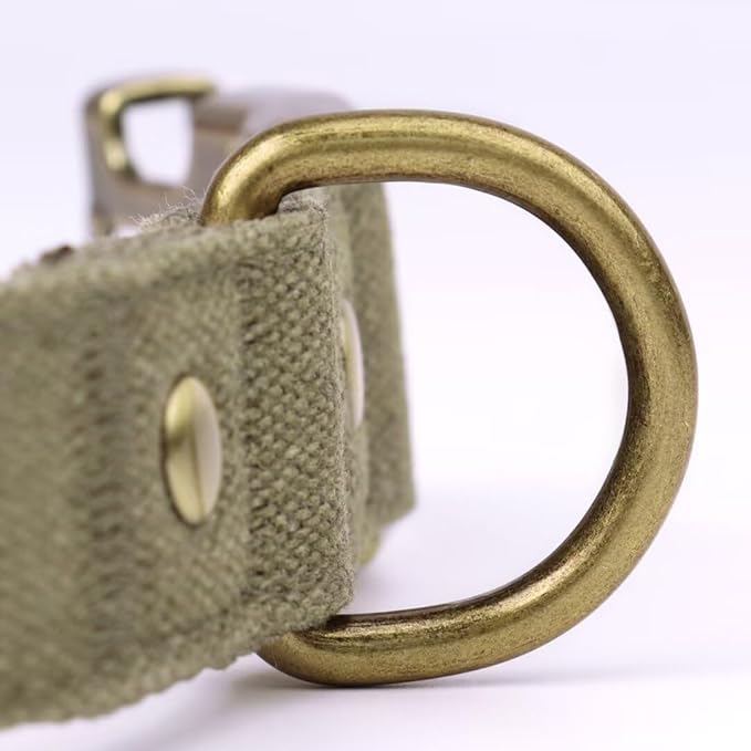 PET ARTIST Dog Collars for Medium Dogs, Soft Padded Premium Nylon Dog Collar with Quick Release Metal Buckle, Durable & Adjustable Pet Collars for Boy Gifts, Green, M (Fit 13-20")