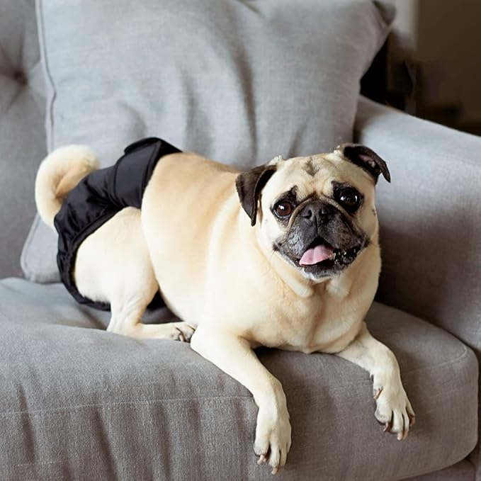 Pet Parents® Washable Dog Diapers (3pack) + Extendrs® of Durable Doggie Diapers, Premium Dog Diapers Female & Male (X-Small, Black)