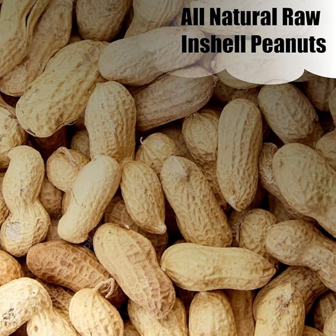 Old Potters Wildlife in-Shell Peanuts for Birds, Squirrels, and Wildlife. USA Grown Non-GMO Raw in-Shell Peanuts (in-Shell, 4 lbs)