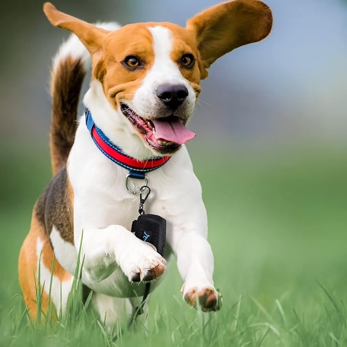 PuppyDoggy Dog Poop Bag Holder for Leash Black Waste Bag Dispenser with 1 Roll of Poop Bags for Leash Accessory Bicycle