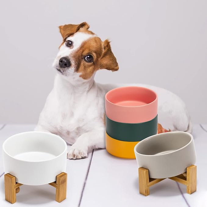 SPUNKYJUNKY 15° Slanted Ceramic Dog and Cat Bowl with Wooden Stand, Tilted Bulldog Food and Water Bowl No Slip Non-Spill for Cats Medium Dogs Big Face Pets 28.7 OZ (3.6 Cups, Green)