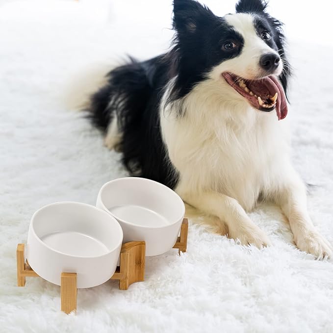 SPUNKYJUNKY 15° Slanted Ceramic Dog and Cat Bowl with Wooden Stand, Tilted Bulldog Food and Water Bowl No Slip Non-Spill for Cats Medium Dogs Big Face Pets 28.7 OZ (3.6 Cups, White × 2)