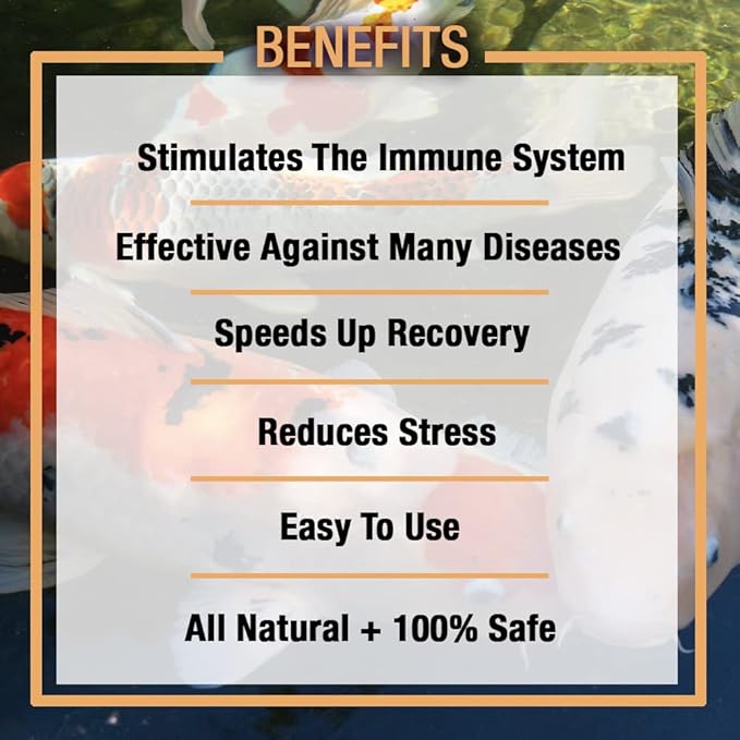 MICROBE-LIFT Sabbactisun Disease Treatment for Ponds and Outdoor Water Gardens, Disease Expellant for Pond Fish, 16 Fl Oz
