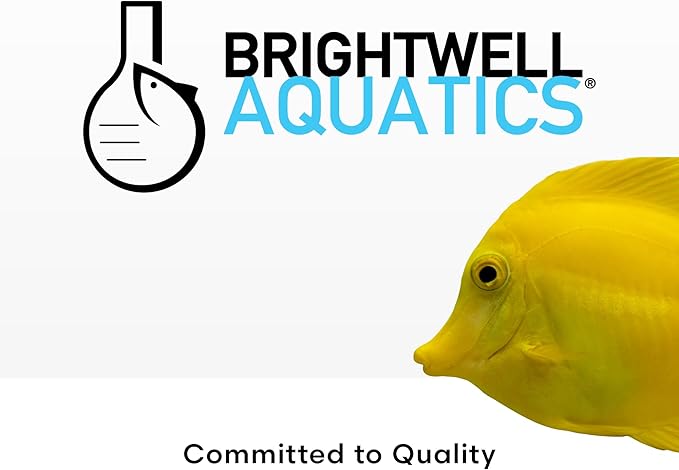Brightwell Aquatics MicroBacter Start XLF - Concentrated Freshwater Nitrifying Bacteria - Quick Start Fish Tank Starter, Lift Microbe Levels & Water Filtering - Aquarium Water Treatments, 33.8 fl oz