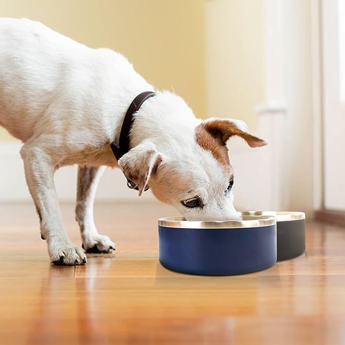 IKITCHEN Dog Bowl for Food and Water, 40 Oz Stainless Steel Pet Feeding Bowl, Durable Non-Skid Double Wall Insulated Heavy Duty with Rubber Bottom for Medium Large Sized Dogs (40 Ounces/5 Cup, Blue)