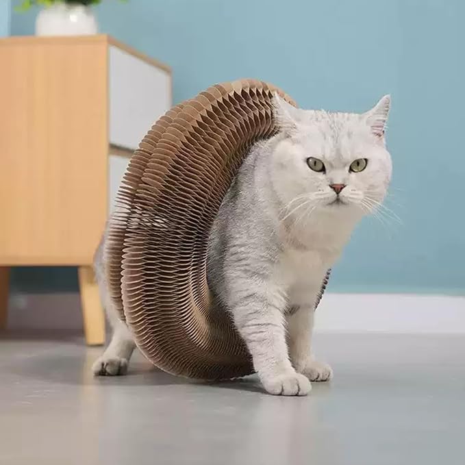 Interactive Scratching Board for Playful Kitties Magic Accordion Cat Scratching Post, Fun Cat Toys for Indoor Cats 1Pack