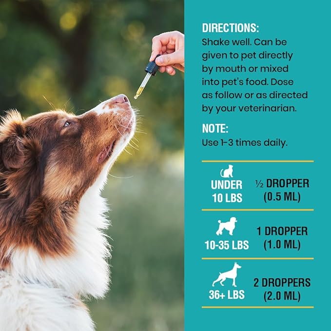 Special Breed Allergy & Immune with Elderberry, Allergy Relief for Cats and Dogs, Anti Itch Treatment, Relief for Pet Allergies, Immune Support for Cat or Dog, 2 oz