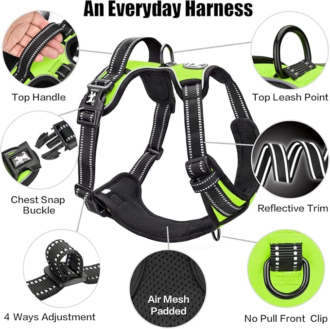 PoyPet No Pull Dog Harness, Reflective Comfortable Vest Harness with Front & Back 2 Leash Attachments and Easy Control Handle Adjustable Soft Padded Pet Vest for Small to Large Dogs (Green,XL)