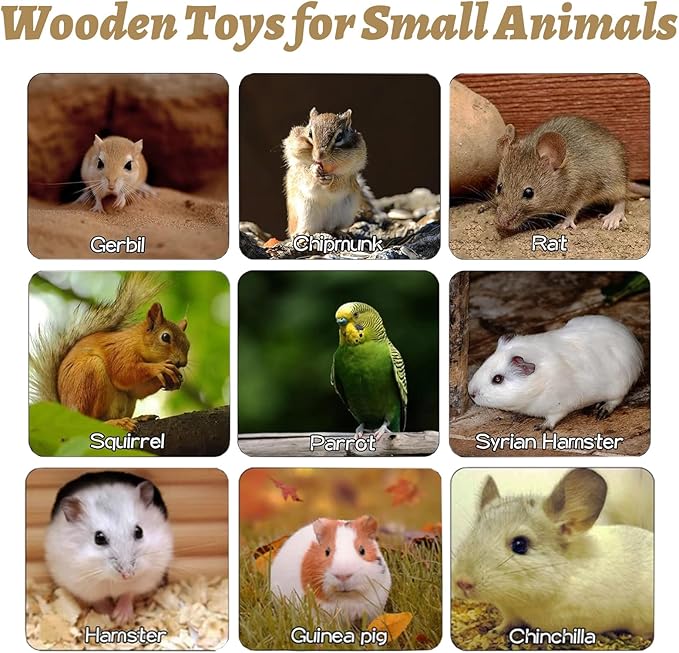 8 Pcs Wooden Hamster Cage Platform Set Wood Juvenile Chinchilla Shelves, Squirrel L-Shape Corner Ledge with Hole Cooling Standing Board Rat Cage Accessories for Gerbil Small Animal Climbing