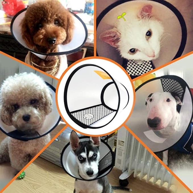 2 Pack Cat Cones to Stop Licking, Cat E Collar Pet Cone for Cats After Surgery, Pet Elizabethan Collar Dog Head Cone Recovery Cone for Most Cats & Small Dogs (Size L, 5#)