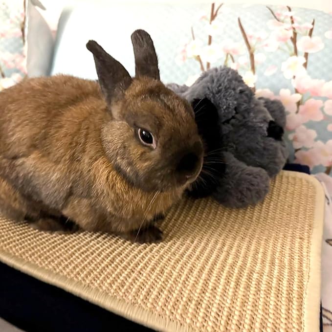 PODOO Bunny Scratch Pads, Sisal Rabbit Scratching Pad, Natural Rabbit Resting Mats for Cages, Forage Grass Mat Indoor Essentials Accessories for Guinea Pig Cat (3Pcs, 15.7x11.8 inches)