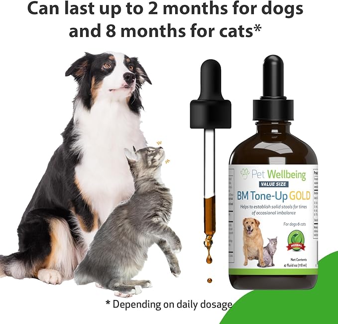Pet Wellbeing BM Tone-Up Gold for Dogs & Cats - Supports Healthy Digestive Function, Solid Stools, Normal Bowel Movements, Bayberry - Veterinarian-Formulated Herbal Supplement 4 oz (118 ml)