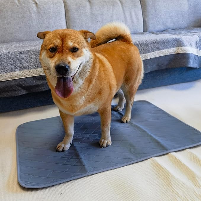 Washable Puppy Pee Pad for Dog Potty Training (Replacement Pee pad)