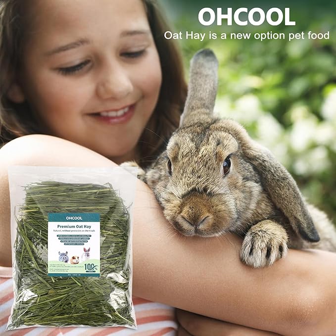 Premium Oat Hay for Pets - Dust Free Natural Green Fresh Pet Food Hay for Rabbits, Guinea Pigs, Chinchillas, Hamsters & Gerbils - 1.1lbs
