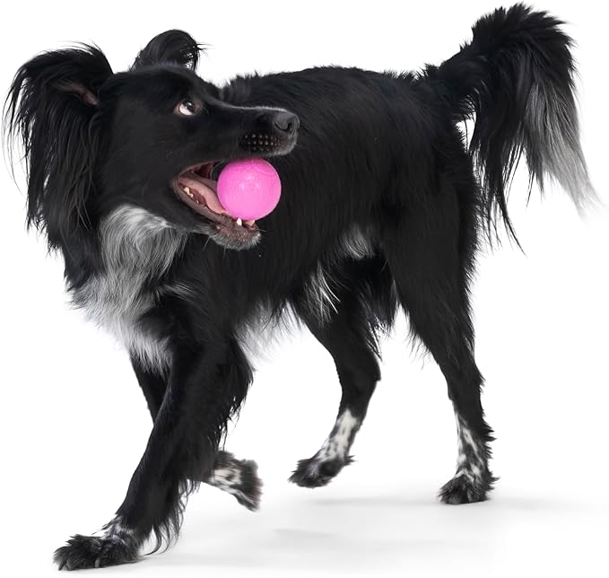 WEST PAW Boundr Ball Dog Fetch Toy – Bouncing Toys for Dogs, Fetch, Catch, Chewing, Play – Floatable, Recyclable Balls – Small Dandelion Yellow/Hot Pink 2-Pack