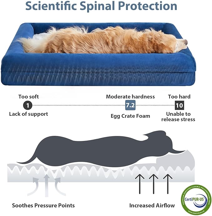 WNPETHOME XXXL Big Dog Bed, Washable Dog Couch with Removable Waterproof Cover, Orthopedic Large Pet Sofa Bed with Bolster Sides for Sleeping