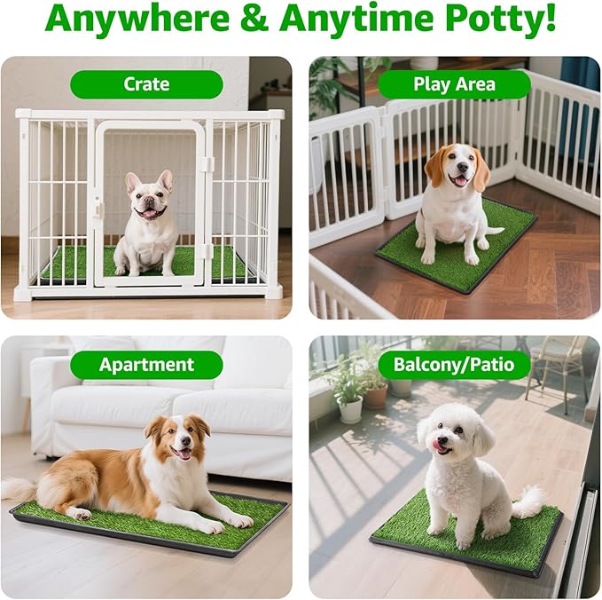 Dog Grass Pet Loo Indoor/Outdoor Portable Potty, Dog Litter Box, Artificial Grass Patch Bathroom Mat and Washable Pee Pad for Puppy Training, Full System with Trays (Pet Training Tray, 20"x30")