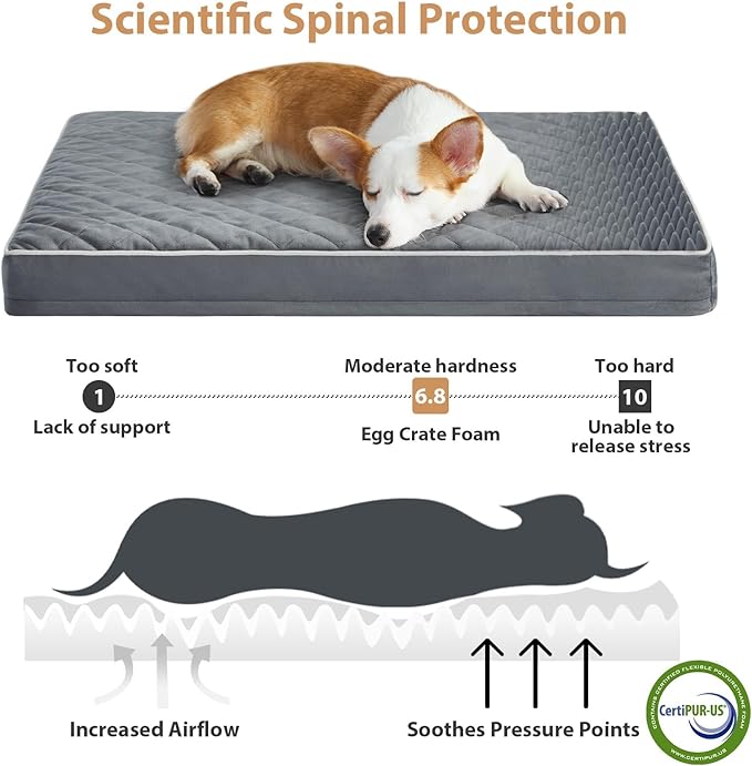 WNPETHOME Orthopedic XL Dog Bed for Crate, Waterproof Extra Large Dogs Bed with Removable Washable Cover, Multi-Needle Quilting Dogs Crate Bed