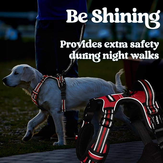 rabbitgoo Dog Harness Medium Sized, No Pull Pet Harness with 3 Buckles, Adjustable Soft Padded Vest with Control Handle, Walking Reflective Pet Vest for Medium Dogs, Red, M