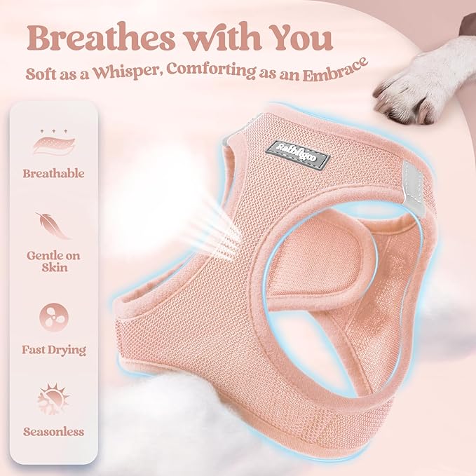 rabbitgoo Dog Harness Small Sized and Leash Set, Step in Soft Light Puppy Vest, Breathable Mesh Pet Harness, Reflective for Safe Outdoor Walking, Pink M