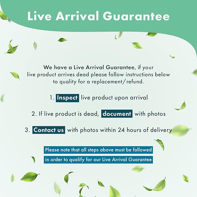 Anubias Live Aquarium Plants - Potted Freshwater Plant for Fish Tanks, Terrariums - Beginner Friendly Low Light (Barteri Coffeefolia, 1 Pot)