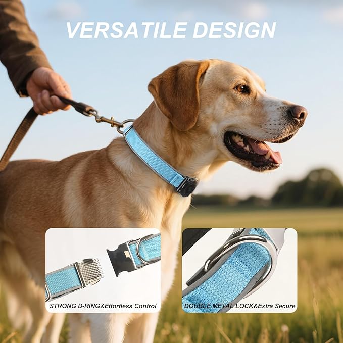 Waterproof Airtag Dog Collar - Nylon Collar with Durable Airtag Holder, Reflective&Anti-Lost with Safety Metal Buckle, Soft Padded Adjustable for Small Medium Large Dogs Blue XL