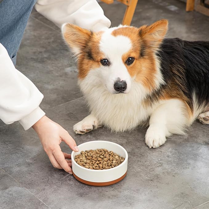 MALACASA Dog Bowls, Ceramic Dog Food and Water Bowls for Small Size Dogs, 1.5 Cups Capacity Pet Bowl for Puppy & Cats (S-1.5 Cups)