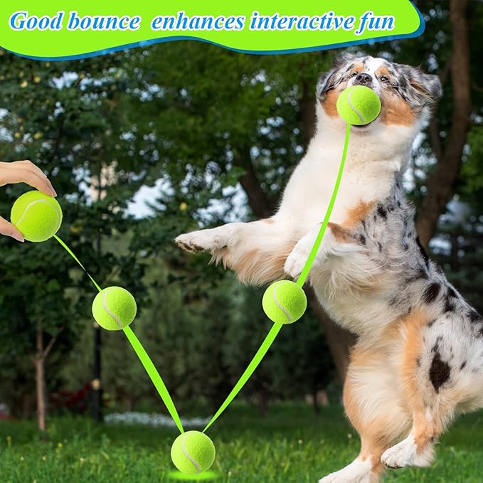 Skylety 100 Pcs 2.5 inch Squeaky Tennis Balls Bulk for Dogs Bouncy Floatable Tennis Balls Dog Playing Supplies Training Interactive Fetch Toys for Small Medium Puppy Exercise and Practice (Green)