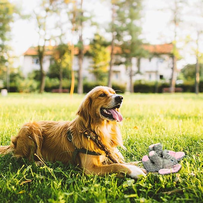 DODODOLA Dog Toys Puppy Toys Cute Squeaky Elephant Dog Toy with Crinkle Paper Stuffed Plush Animal to Keep Them Busy for Small Medium Large Dogs