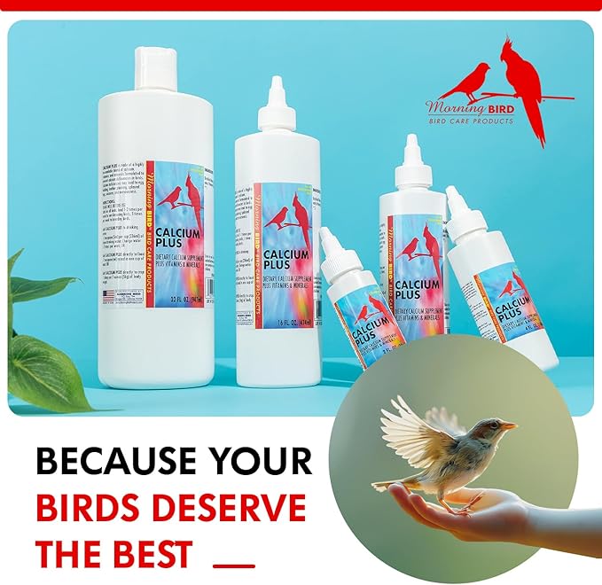 Morning Bird Calcium Plus Liquid Supplement for Birds - Liquid Calcium Formula with Magnesium and Vitamin D3 Calcium Supplement for All Birds – 2 Fl Oz