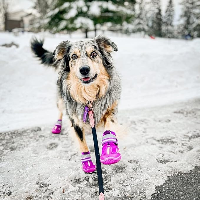 QUMY Dog Shoes for Large Dogs, Medium Dog Boots & Paw Protectors for Winter Snowy Day, Summer Hot Pavement, Waterproof in Rainy Weather, Outdoor Walking, Indoor Hardfloors Anti Slip Sole Purple Size 4