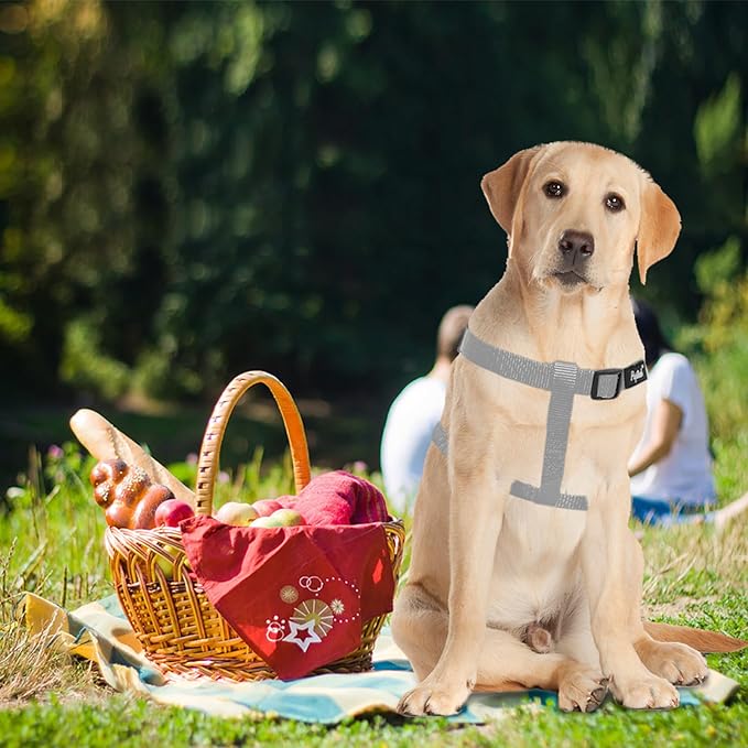 PUPTECK No Pull Dog Harness Soft Adjustable Basic Nylon Step in Puppy Vest Outdoor Walking with ID Tag, Grey, M