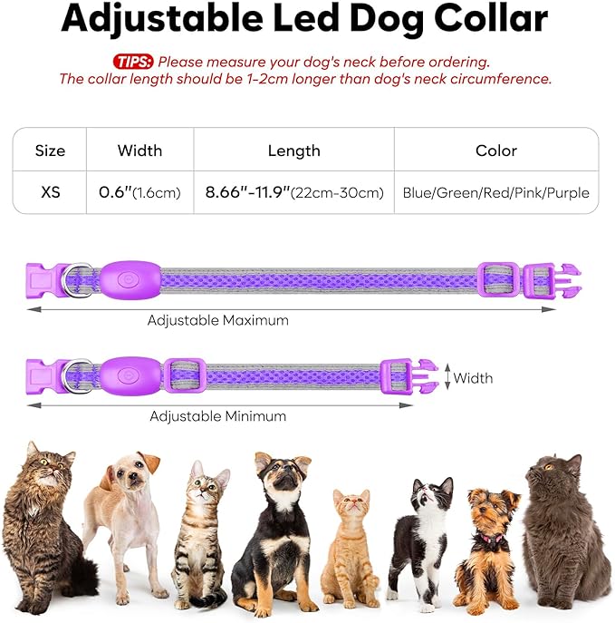 Flashseen LED Cat Collar,Light Up Dog Collar Rechargeable, Dog Lights for Night Walking, Comfortable Soft Mesh Pet Collar Adjustable for Cats Puppy and Small Dogs (Purple, XS)