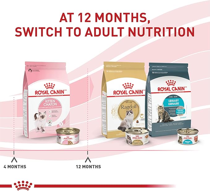 Royal Canin Feline Health Nutrition Kitten Thin Slices in Gravy Canned Cat Food, 3 oz can (18-count)