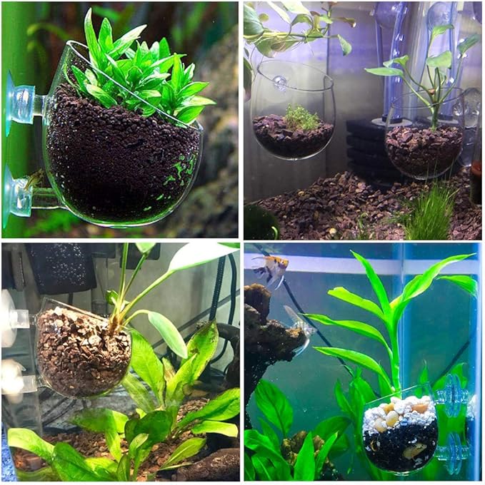 capetsma 4X Crystal Glass Aquarium Plant Pot, Aquarium Aquatic Planter, Red Shrimp Live Plants Fish Tank Glass Holder with 4X Suction Cups for Aquarium Fish Tank Decorations β¦ (4 Pack)β¦