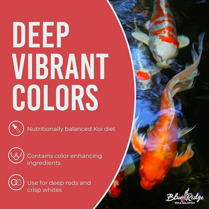 Blue Ridge Koi Fish Food 14lb - Koi Food 3/16” Platinum Pro Formula Goldfish Food, Premium Fish Food for Ponds, Ponds Fish Food, Floating Pond Pellet