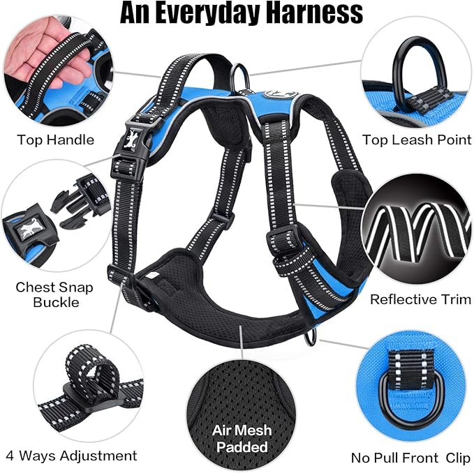PoyPet No Pull Dog Harness, Reflective Comfortable Vest Harness with Front & Back 2 Leash Attachments and Easy Control Handle Adjustable Soft Padded Pet Vest for Small to Large Dogs (Blue,XS)
