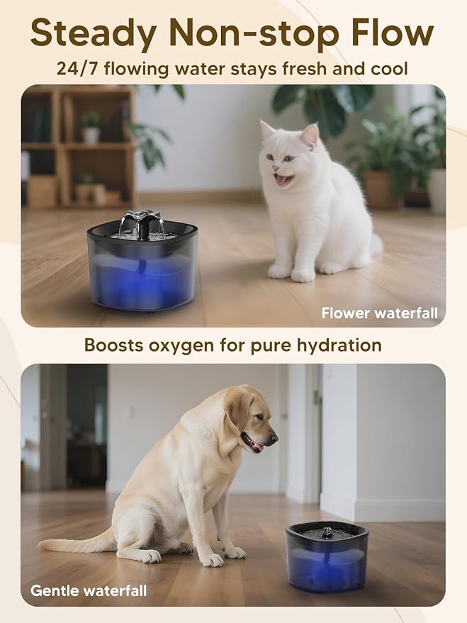 Automatic Cat Feeder and Water Fountain, 5L/20 Cups Timed Cat Dry Food Dispenser, 10s Meal Call, 20 Portions 6 Meals Per Day, 2L Cats Fountains for Drinking with Filter, Pet Feeder for Dog Black