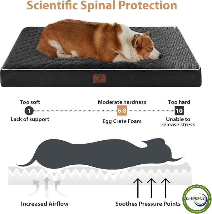 WNPETHOME Orthopedic XL Dog Bed for Crate, Waterproof Extra Large Dogs Bed with Removable Washable Cover, Multi-Needle Quilting Dogs Crate Bed