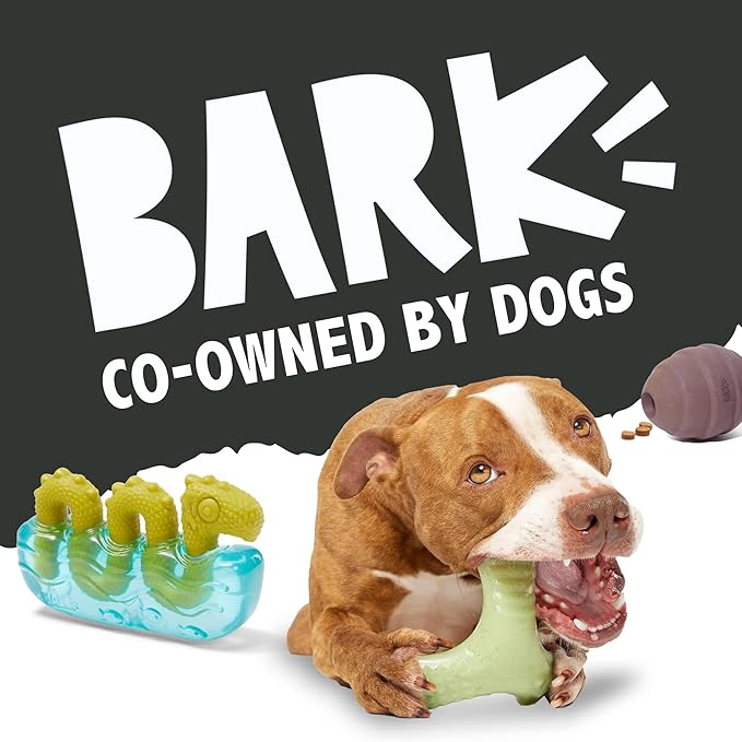 Barkbox Torbert The Troll Dog Toy for Large Dogs, Natural Rubber with Wacky Bounce Perfect for Aggressive Chewers and Long-Lasting Playtime