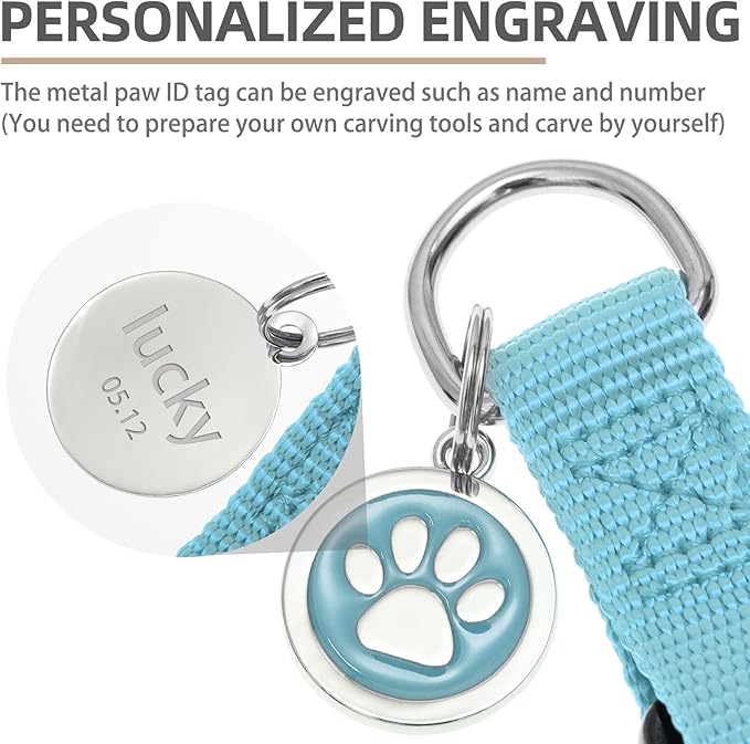 PUPTECK No Pull Dog Harness Soft Adjustable Basic Nylon Step in Puppy Vest Outdoor Walking with ID Tag and A-ir Tag Case, Sky Blue, L