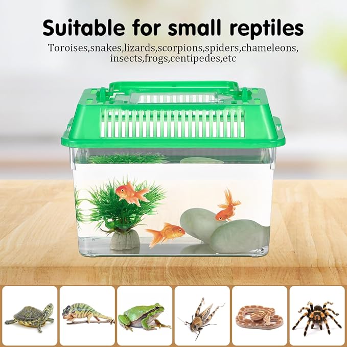 5pcs Small Fish Carrier with Breathable Lids, Portable Betta Fish Tank, Clear Breeding Boxes for Lizard, Turtle, Tarantula(Assorted Color)