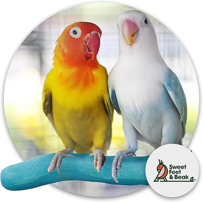 Sweet Feet & Beak Safety Pumice Bird Perch, X-Small 1/2" X 6", Blue - Lightweight Grinding Bird Perches for Cage - Bird Nail Trimming Perch for Healthy Beak & Feet - Multi-Size & Color Parrot Stand