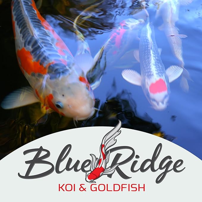 Blue Ridge Koi Fish Food 14lb - Koi Food Mini Growth Formula, Goldfish Food, Premium Fish Food for Ponds, Ponds Fish Food, Floating Pond Pellets