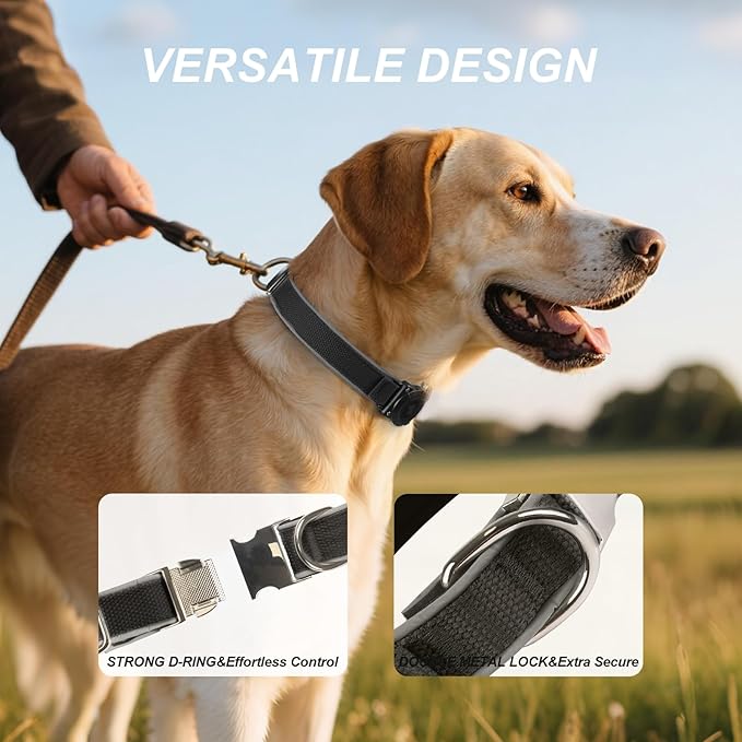 Waterproof Airtag Dog Collar - Nylon Collar with Durable Airtag Holder, Reflective&Anti-Lost with Safety Metal Buckle, Soft Padded Adjustable for Small Medium Large Dogs Black XL
